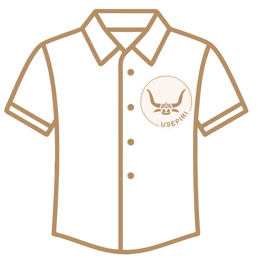 Camisas